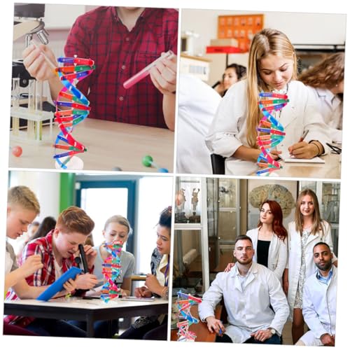 HOODANCOS 2 Stück Teiliges DNA Doppelhelix Modell Robustes Selbstmontierbares Wissenschaftslernspielzeug Anschauliches Lehrmittel für Biologieunterricht und Kreative Experimente von HOODANCOS