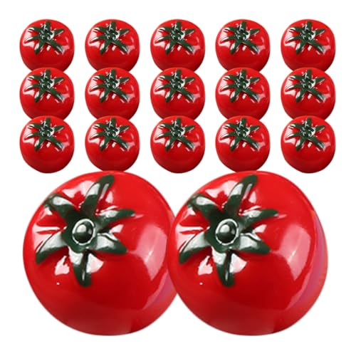 HOODANCOS 20 Stück Künstliche Mini Tomaten Realistische Nachahmung Gemüse Modelle für Dekoration Fotografie und DIY Projekte Lebensmitteldekor für Tisch Puppenhaus und Schaufenster von HOODANCOS
