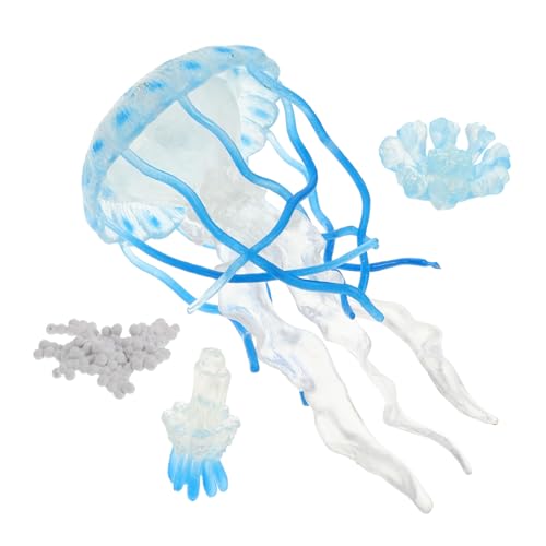HOODANCOS 4 Stück Teiliges Quallen Wachstumsmodell aus Sicherem Kunststoff Pädagogisches Aquarium für Interaktives Lernspielzeug zur Kognitiven Entwicklung Dekorative Meerestiere Figur für HOODANCOS 4 Stück Teiliges Quallen Wachstumsmodell aus Sicherem Kunststoff Pädagogisches Aquarium für Interaktives Lernspielzeug zur Kognitiven Entwicklung Dekorative Meerestiere Figur für von HOODANCOS