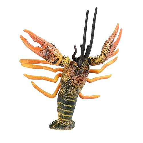 HOODANCOS Echtes Lobster Modellspielzeug Pädagogisches Tiermodell für Grün Fördert Kreativität und Vorstellungskraft für Spiel und Lernen HOODANCOS Echtes Lobster Modellspielzeug Pädagogisches Tiermodell für Grün Fördert Kreativität und Vorstellungskraft für Spiel und Lernen von HOODANCOS