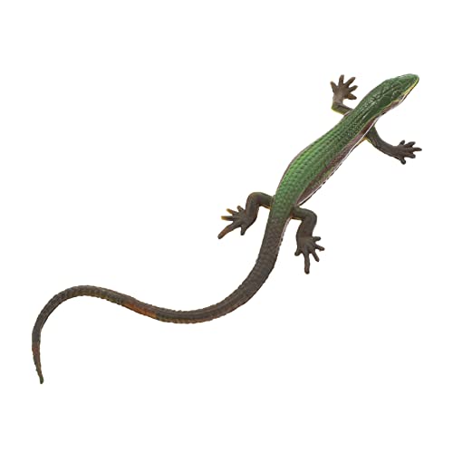 HOODANCOS Fake Echsenmodell Realistische Reptilienfigur Lernspielzeug für Dekoration für Garten und Leicht und Langlebig Wiederverwendbar HOODANCOS Fake Echsenmodell Realistische Reptilienfigur Lernspielzeug für Dekoration für Garten und Leicht und Langlebig Wiederverwendbar von HOODANCOS