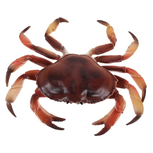 HOODANCOS Künstliches Krabbenmodell aus Kunststoff Realistisches Simulationsspielzeug für Garten und Schlafzimmerdekoration Wiederverwendbares Dekorationsornament Lernspielzeug für HOODANCOS Künstliches Krabbenmodell aus Kunststoff Realistisches Simulationsspielzeug für Garten und Schlafzimmerdekoration Wiederverwendbares Dekorationsornament Lernspielzeug für von HOODANCOS