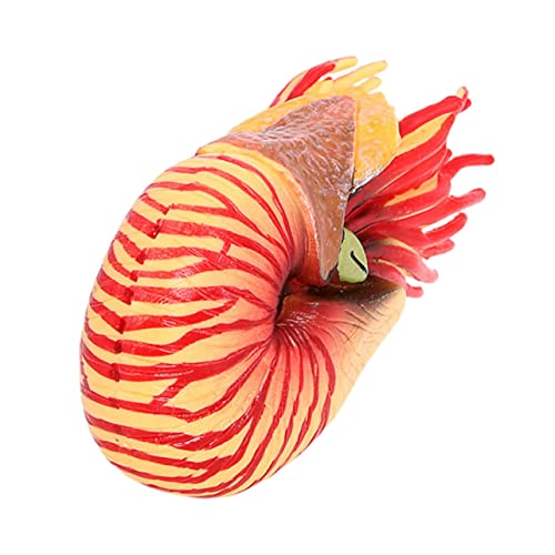 HOODANCOS Kunststoff Nautilus Modell Simuliertes Meerestier Statue für Aquarium Dekoration Pädagogisches für Realistische und Lebendige Gestaltung von HOODANCOS