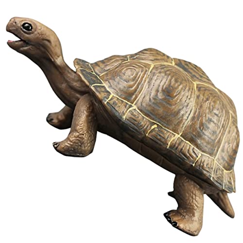 HOODANCOS Lifelike Schildkrötenmodell aus Kunststoff Realistische Dekorationsfigur für Lernspielzeug zur Kognitiver Fähigkeiten für Haus und Garten HOODANCOS Lifelike Schildkrötenmodell aus Kunststoff Realistische Dekorationsfigur für Lernspielzeug zur Kognitiver Fähigkeiten für Haus und Garten von HOODANCOS