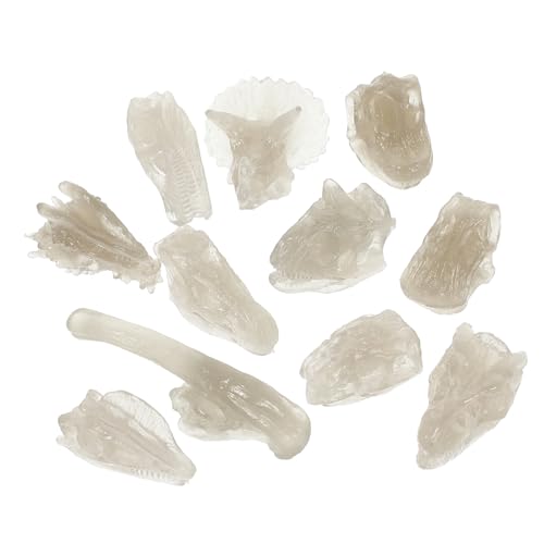 HOODANCOS Luminous Dinosaur Skull Modell aus PVC Nachtleuchtendes Fossil für Ab Jahren Detailgetreues Dinosaurier Skelett Pädagogisches Kinderspielzeug für Jungen und Mädchen von HOODANCOS
