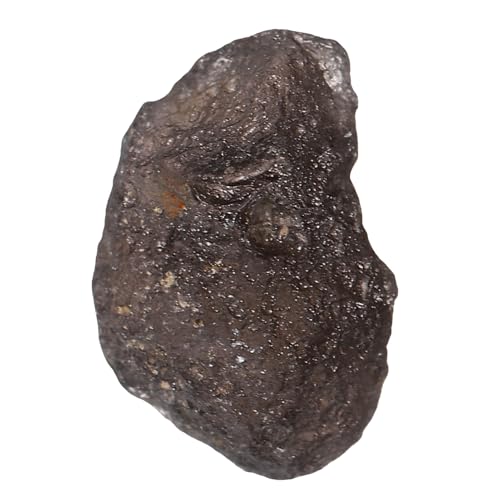 HOODANCOS Meteoritenstück Unregelmäßiges Meteoritenexemplar für Sammler und Bildungszwecke für Weltraum und Wissenschaftsfreunde HOODANCOS Meteoritenstück Unregelmäßiges Meteoritenexemplar für Sammler und Bildungszwecke für Weltraum und Wissenschaftsfreunde von HOODANCOS