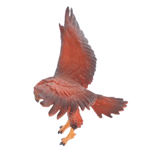HOODANCOS Miniatur Adler Modell Lebensnahe Plastikfigur für Bildungszwecke und Dekoration für Schlafzimmer Kinderzimmer und Garten HOODANCOS Miniatur Adler Modell Lebensnahe Plastikfigur für Bildungszwecke und Dekoration für Schlafzimmer Kinderzimmer und Garten von HOODANCOS