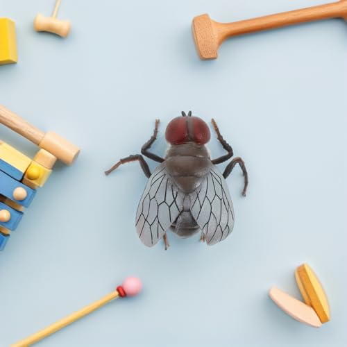 HOODANCOS Realistisches Fliegen Modellspielzeug für Kognitives Insektenspielzeug aus Sicherem Material für Halloween Dekorationen und Streiche für Festliche Anlässe HOODANCOS Realistisches Fliegen Modellspielzeug für Kognitives Insektenspielzeug aus Sicherem Material für Halloween Dekorationen und Streiche für Festliche Anlässe von HOODANCOS