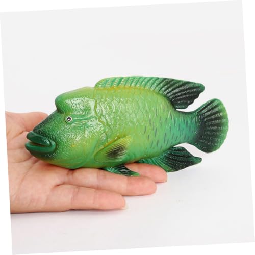 HOODANCOS Realistisches Humphead Wrasse Modell Kunststoff Meerestier Figur Aquarium Dekoration Robust und Bruchfest für Heim und Gartendeko Fischbecken und Lernspielzeug von HOODANCOS