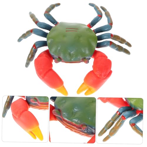 HOODANCOS Realistisches Krabbenmodell Dekoration Aquarium Deko Lernspielzeug Meeres Tier Figur für Büro von HOODANCOS