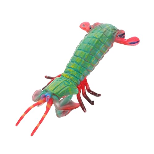 HOODANCOS Realistisches Mantis Garnelen Modell Simulationstier Figur für Lernspielzeug Kognitiven Fähigkeiten Dekoration Vielseitig Einsetzbar für Spiel und Ausbildung HOODANCOS Realistisches Mantis Garnelen Modell Simulationstier Figur für Lernspielzeug Kognitiven Fähigkeiten Dekoration Vielseitig Einsetzbar für Spiel und Ausbildung von HOODANCOS