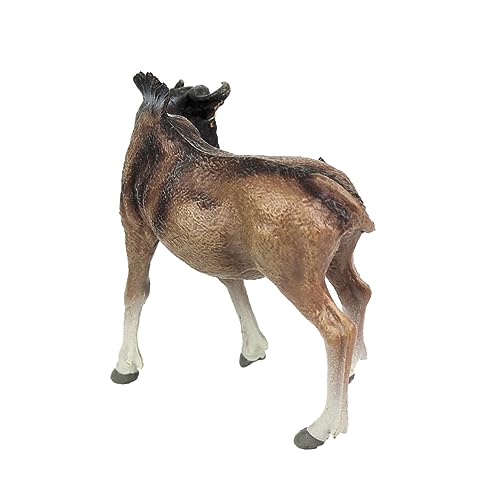 HOODANCOS Simulation Tiermodell Dekofigur für Zuhause Realistisches Wildtier Lernspielzeug für Geeignet für Einkaufszentren Dekoration HOODANCOS Simulation Tiermodell Dekofigur für Zuhause Realistisches Wildtier Lernspielzeug für Geeignet für Einkaufszentren Dekoration von HOODANCOS
