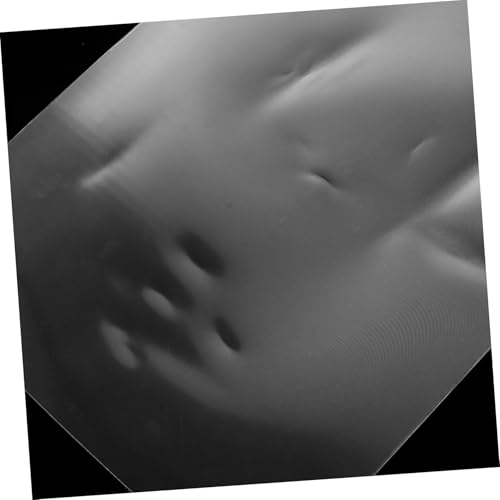 HOODANCOS Unsichtbare Lentikular Folie Transparente Zauberlinsenplatte für Magische Effekte Vielseitiges und Filmrequisit für Close Up Illusionen und Magische Darbietungen HOODANCOS Unsichtbare Lentikular Folie Transparente Zauberlinsenplatte für Magische Effekte Vielseitiges und Filmrequisit für Close Up Illusionen und Magische Darbietungen von HOODANCOS