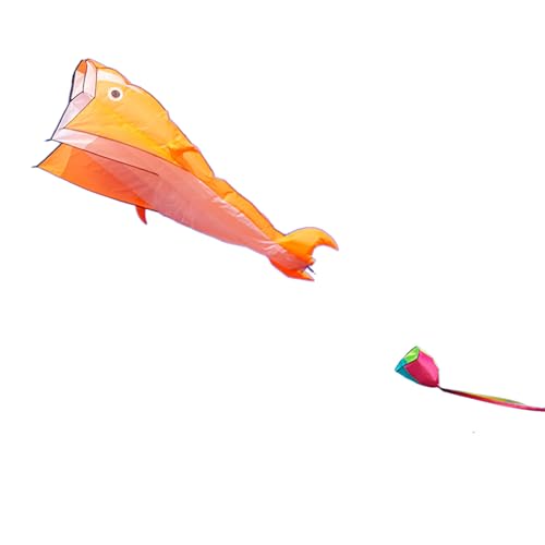 HOOLRZI 3D Hof Zum Spielen Spielzeug Für Delfin Training Fliegendes Spielzeug Zubehör Tragbar Helle Farben Hofspiel Geschenk 3D-3D Drachen Für Mädchen Alter Von 8–12 Jahren 3D Für Kinder 3D von HOOLRZI