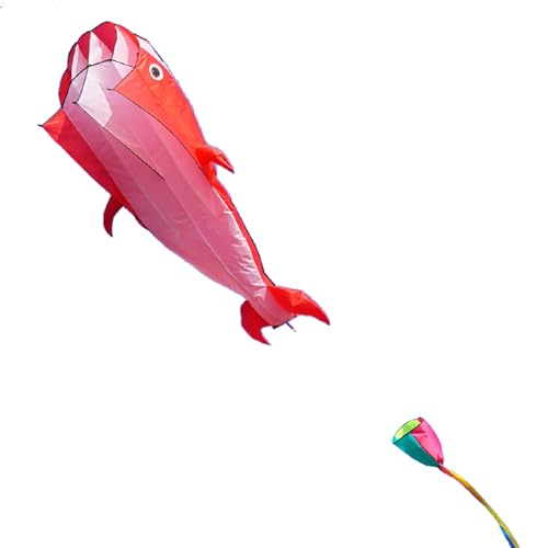 HOOLRZI 3D Hof Zum Spielen Spielzeug Für Delfin Training Fliegendes Spielzeug Zubehör Tragbar Helle Farben Hofspiel Geschenk 3D-3D Drachen Für Mädchen Alter Von 8–12 Jahren 3D Für Kinder 3D von HOOLRZI
