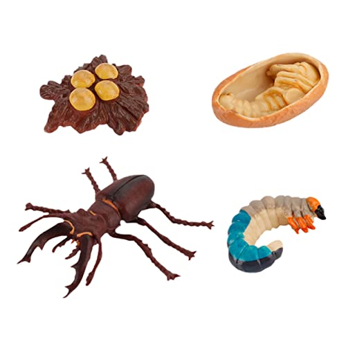 4 Stück Wachstumszyklus Spielzeug Lebenszyklus Einer Gefälschte Fehler Figur Spielzeuge Schmusespielzeug Statuendekor Insektenspielzeug Spielzeugmodell Abs Bildungsbedarf Kind Tier 4 Stück Wachstumszyklus Spielzeug Lebenszyklus Einer Gefälschte Fehler Figur Spielzeuge Schmusespielzeug Statuendekor Insektenspielzeug Spielzeugmodell Abs Bildungsbedarf Kind Tier von HOOTNEE
