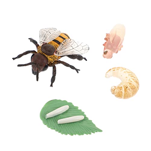 1 Satz Hirschkäfer Wachstumswoche zabawki stymulujące rozwój Educational Toys lebenszyklus Tiere Lernspielzeug für Kinder Modelle Spielzeuge Honigbienen-Spielzeug Insektenfiguren von HOOTNEE