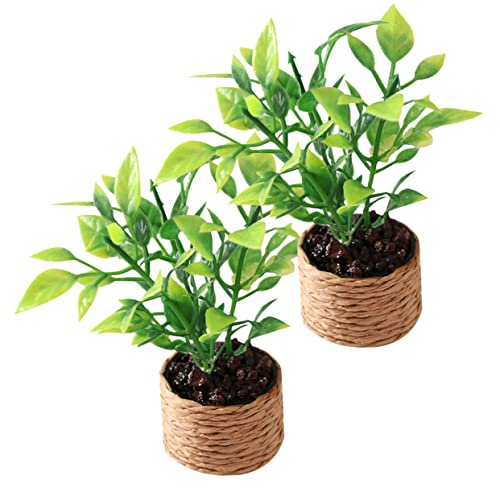 HOOTNEE 2 Stück Mini-Orangenbaum Topfspielzeug Mini -Gartendekoration kleine Kunstpflanzen Miniaturpuppenhauspflanzen Topfpflanzen Miniatur Bonsai kleine Topfornamente Plastik von HOOTNEE