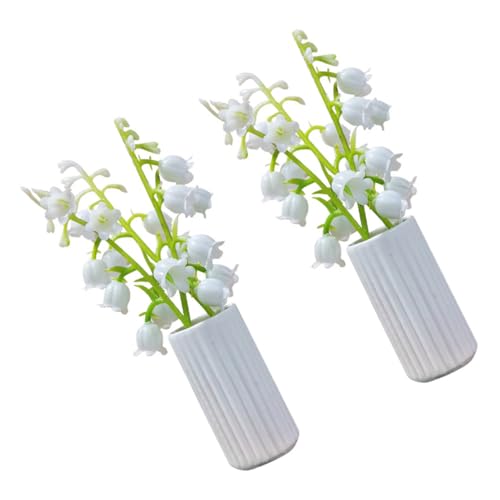 HOOTNEE 2 Stück Puppenhaus Topfpflanzen, Heim Desktop Ornamente, Mini Hausdekor, Miniatur Topfpflanzen, Winzige Bonsai Dekoration, Miniatur Topfblume, Miniatur Blumenvase, Topfpflanzen von HOOTNEE