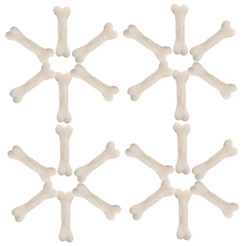 HOOTNEE 20 Stück Teiliges Mini Skelettknochen aus Resin Realistische Miniatur Knochen Requisiten für Halloween Deko Mikro Landschaft DIY Basteln und Kostümzubehör Tragbare Mini Knochen von HOOTNEE