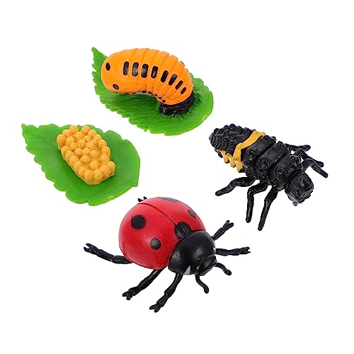 HOOTNEE 4 Stück Lebenszyklus Figuren Marienkäfer Wachstumszyklus Lernspielzeug für Teiliges aus Hochwertigem Kunststoff Pädagogisches Insektenspielzeug für Rollenspiele und Dekoration von HOOTNEE