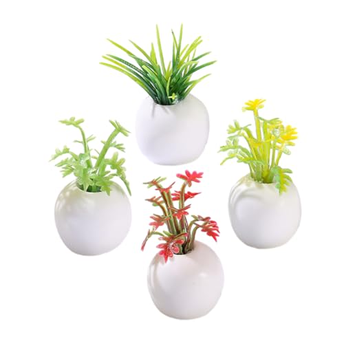 HOOTNEE 4 Stück Sukkulenten Im Topf, Künstliche Blumen, Bonsai Ornament, Mini Garten, Bonsai, Puppenhaus, Sukkulenten, Miniaturpflanzen Für Puppenhaus, Simulierter Bonsai, Miniatur HOOTNEE 4 Stück Sukkulenten Im Topf, Künstliche Blumen, Bonsai Ornament, Mini Garten, Bonsai, Puppenhaus, Sukkulenten, Miniaturpflanzen Für Puppenhaus, Simulierter Bonsai, Miniatur von HOOTNEE