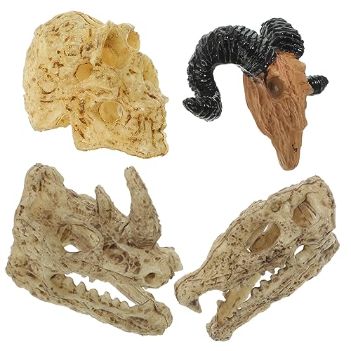 HOOTNEE 4 Stück Teiliges Schädel Dekorationen für Puppenhaus Realistische Tierkopf Ornamente für Kreative und Festliche Anlässe HOOTNEE 4 Stück Teiliges Schädel Dekorationen für Puppenhaus Realistische Tierkopf Ornamente für Kreative und Festliche Anlässe von HOOTNEE