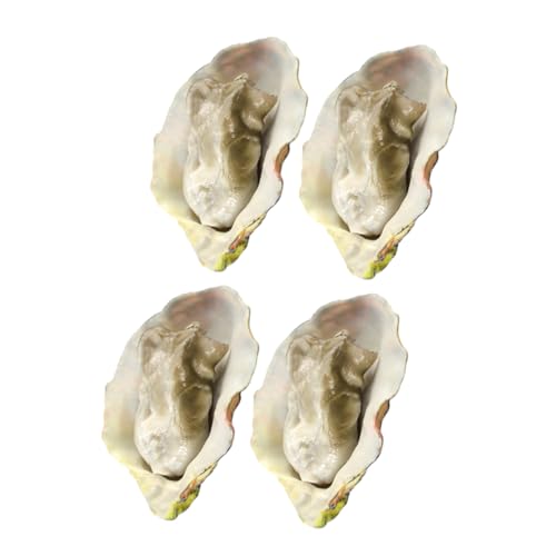 HOOTNEE 4stücke Künstliche Austern Modell Realistische Simulation Für Spielzeug Gastronomie-Dekoration Fotografie Und Lernzwecke HOOTNEE 4stücke Künstliche Austern Modell Realistische Simulation Für Spielzeug Gastronomie-Dekoration Fotografie Und Lernzwecke von HOOTNEE