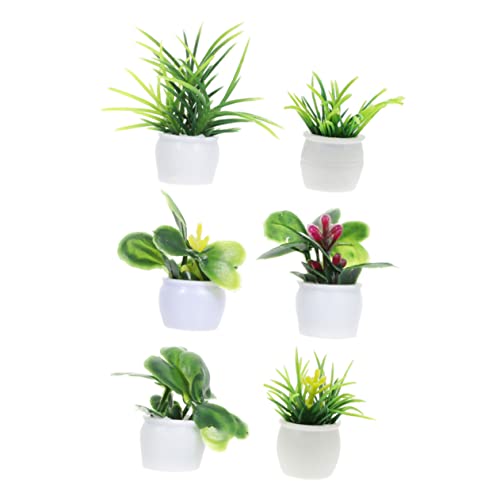 HOOTNEE 6 Stück Mini Pflanzen Modell Teiliges Dekorationszubehör für Puppenhaus Zen Garten Farbenfrohe Miniaturpflanzen für Stilvolle Wohn und Gartendekoration für Sammler HOOTNEE 6 Stück Mini Pflanzen Modell Teiliges Dekorationszubehör für Puppenhaus Zen Garten Farbenfrohe Miniaturpflanzen für Stilvolle Wohn und Gartendekoration für Sammler von HOOTNEE