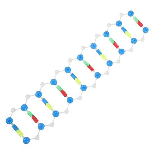 HOOTNEE Doppelhelix Modell Interaktives DNA Modell für Biologieunterricht Assemblierung von Genstrukturen Pädagogisches Lehrmittel für Kreative Lernansätze HOOTNEE Doppelhelix Modell Interaktives DNA Modell für Biologieunterricht Assemblierung von Genstrukturen Pädagogisches Lehrmittel für Kreative Lernansätze von HOOTNEE