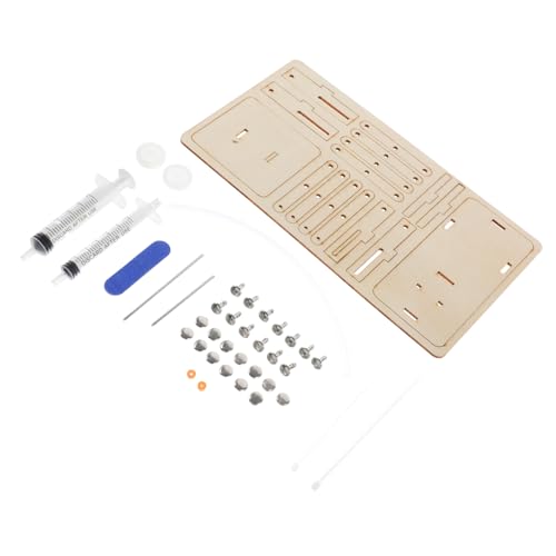 HOOTNEE Holzbaukasten DIY Hydraulikspielzeug Realistisches Wissenschafts Experimentierkit mit Hebebühne Fördert Praktisches Denken und Technikverständnis für Jungen und Mädchen Ab Jahren HOOTNEE Holzbaukasten DIY Hydraulikspielzeug Realistisches Wissenschafts Experimentierkit mit Hebebühne Fördert Praktisches Denken und Technikverständnis für Jungen und Mädchen Ab Jahren von HOOTNEE