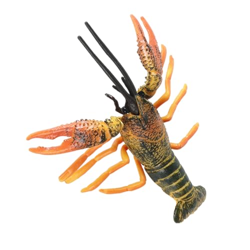 HOOTNEE Hummer Modell für Kognitives Lernspielzeug Lebendiger Farbe für Kleine Wissenschaftler Fördert die Kreativität und Verständnis HOOTNEE Hummer Modell für Kognitives Lernspielzeug Lebendiger Farbe für Kleine Wissenschaftler Fördert die Kreativität und Verständnis von HOOTNEE