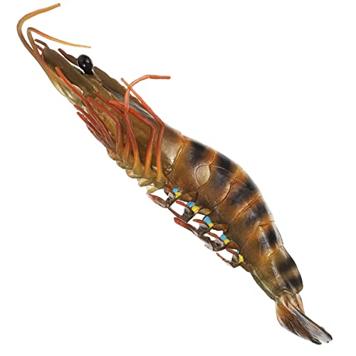 HOOTNEE Lernspielzeug für Realistisches Shrimp Modell aus Robustem Kunststoff für Frühkindliche Bildung Partys und Dekoration für Kinderzimmer HOOTNEE Lernspielzeug für Realistisches Shrimp Modell aus Robustem Kunststoff für Frühkindliche Bildung Partys und Dekoration für Kinderzimmer von HOOTNEE