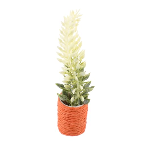 HOOTNEE Mini Ahorn Topfpflanze Winziger Bonsai Miniatur Wohndekor Mini Hausdekorationen Mini Winziges Miniatur Landschaftsdekoration Miniatur Bonsai von HOOTNEE
