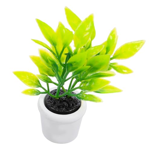 HOOTNEE Künstliche Kleine Bonsai-Miniatur-topfpflanze Für Puppenhausdekoration Und Garten-landschaftsdekoration HOOTNEE Künstliche Kleine Bonsai-Miniatur-topfpflanze Für Puppenhausdekoration Und Garten-landschaftsdekoration von HOOTNEE