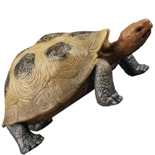 HOOTNEE Realistische Plastiktierfigur Einer Schildkröte Dekofigur Für Garten Und Innenräume Lebensechte Schildkröten Skulptur Ideal Als Für Und Tierliebhaber HOOTNEE Realistische Plastiktierfigur Einer Schildkröte Dekofigur Für Garten Und Innenräume Lebensechte Schildkröten Skulptur Ideal Als Für Und Tierliebhaber von HOOTNEE