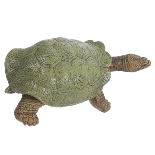 HOOTNEE Realistische Schildkrötenfigur aus Pädagogisches Tiermodell mit Glatten Kanten Sichere Simulation Langlebig und Vielseitig als Lernspielzeug und Deko für Kinderzimmer und Garten von HOOTNEE