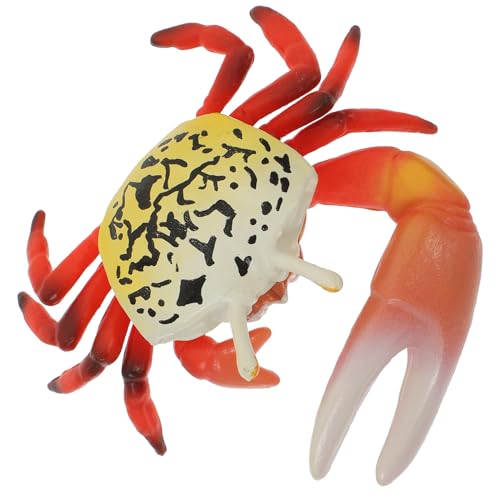 HOOTNEE Realistisches Krabbenmodell Simulation Krebs Figur Lernspielzeug Meeresdekor Aquarium Ornament Strandspielzeug für Frühe Bildung und Wohnaccessoire von HOOTNEE