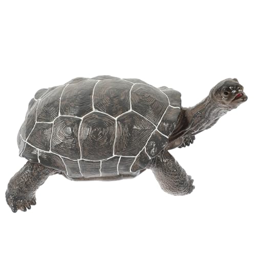HOOTNEE Schildkrötenmodell, Schildkrötenfigur, Mini Meeresschildkrötenfigur, Spielzeugschildkröte, Simulation, Schildkrötenmodell, Meerestierfiguren, Simulation, Tierfigur, HOOTNEE Schildkrötenmodell, Schildkrötenfigur, Mini Meeresschildkrötenfigur, Spielzeugschildkröte, Simulation, Schildkrötenmodell, Meerestierfiguren, Simulation, Tierfigur, von HOOTNEE