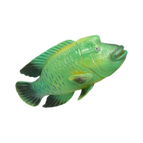 HOOTNEE Simulation Humphead Wrasse Ornament Realistisches Kunststoff Fischmodell für Frühkindlichen Bildung Aquarium Dekoration HOOTNEE Simulation Humphead Wrasse Ornament Realistisches Kunststoff Fischmodell für Frühkindlichen Bildung Aquarium Dekoration von HOOTNEE
