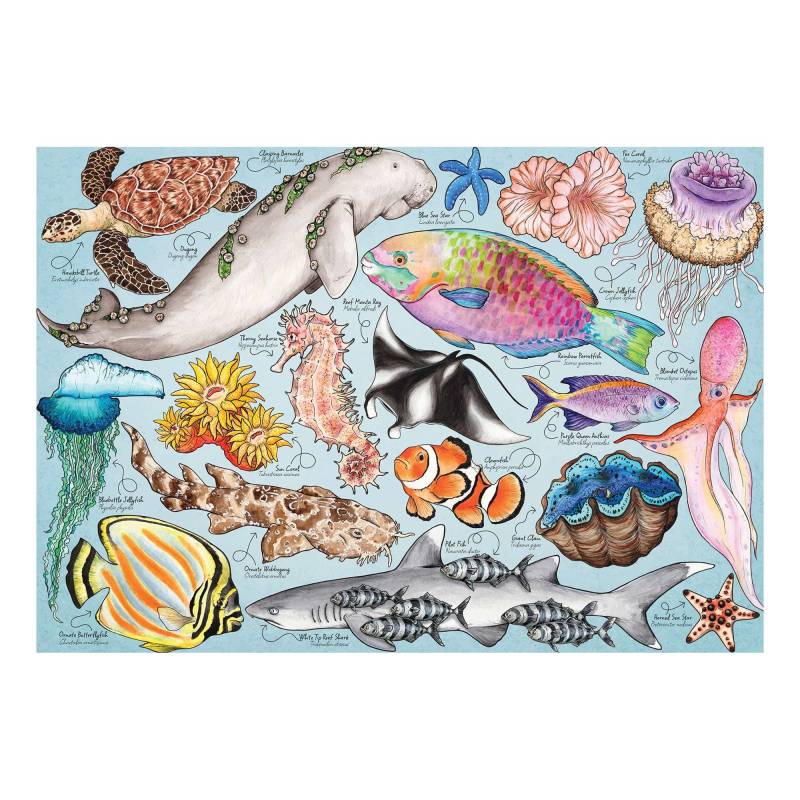 HOP - House of Puzzles Great Barrier Reef 1000 Teile Puzzle House-Of-Puzzles-HP0805 HOP - House of Puzzles Great Barrier Reef 1000 Teile Puzzle House-Of-Puzzles-HP0805 von HOP - House of Puzzles