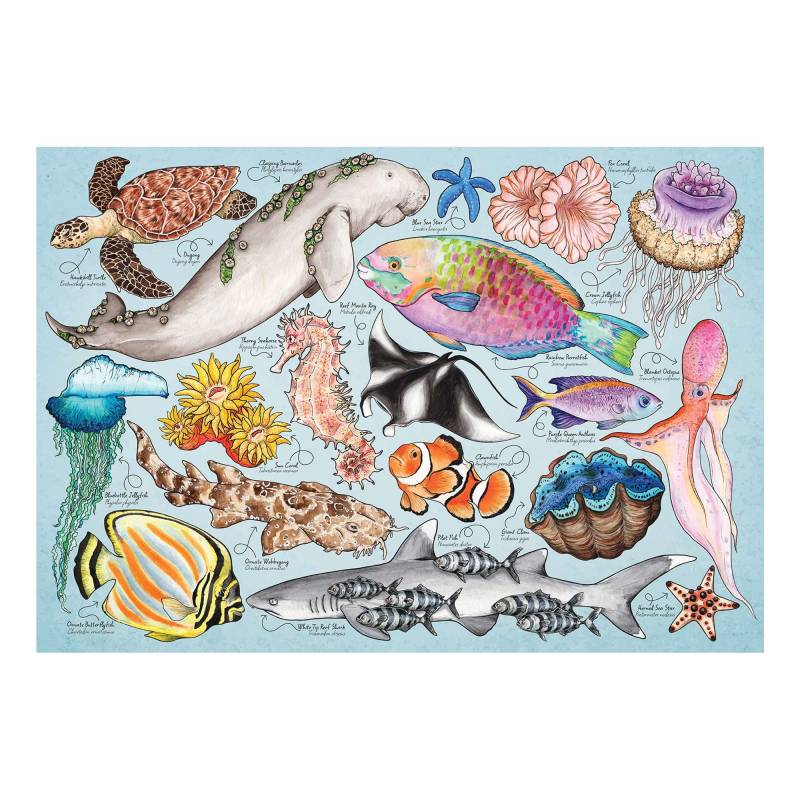 HOP - House of Puzzles Mini Puzzle - Great Barrier Reef 150 Teile Puzzle House-Of-Puzzles-HP0803 von HOP - House of Puzzles