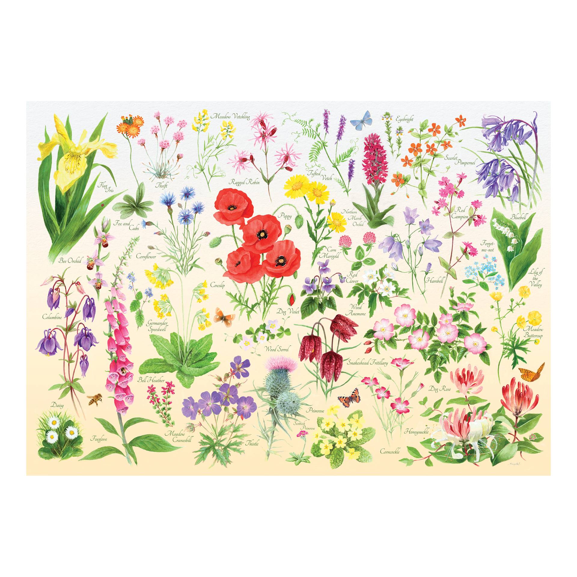 HOP - House of Puzzles Wildblumen 1000 Teile Puzzle House-Of-Puzzles-HP0705 von HOP - House of Puzzles