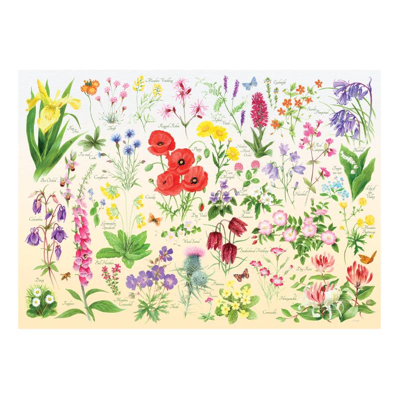 HOP - House of Puzzles Wildblumen 1000 Teile Puzzle House-Of-Puzzles-HP0705 HOP - House of Puzzles Wildblumen 1000 Teile Puzzle House-Of-Puzzles-HP0705 von HOP - House of Puzzles