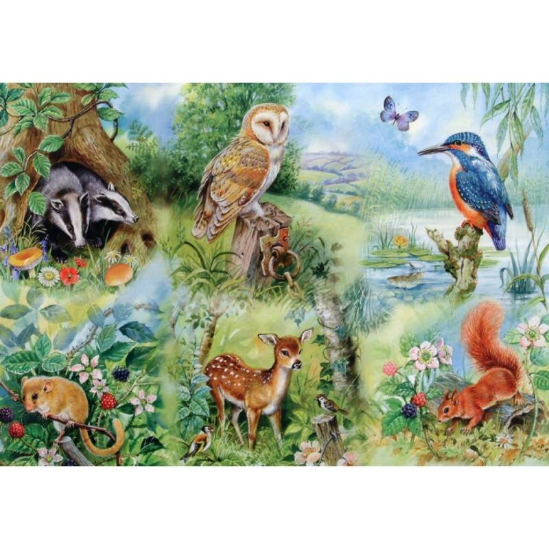 HOP - House of Puzzles XXL Teile - Naturstudie 250 Teile Puzzle House-Of-Puzzles-HP0144 von HOP - House of Puzzles