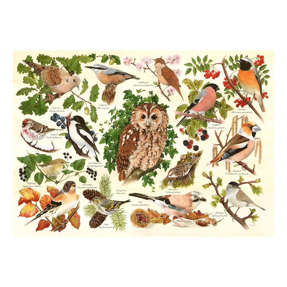 HOP - House of Puzzles XXL Teile - Waldvögel 500 Teile Puzzle House-Of-Puzzles-HP0626 von HOP - House of Puzzles
