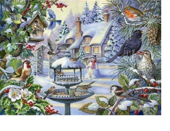 HOP - House of Puzzles XXL Teile - Winter Birds 500 Teile Puzzle House-of-Puzzles-HP0233 von HOP - House of Puzzles