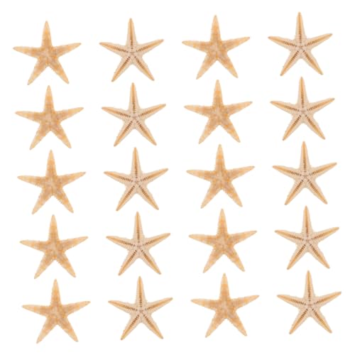 HORIALENCE 20 Stück Kerzen Tropfende Dekoration Strand Seestern Kerzendekoration Selber Machen Mini Natürlicher Seestern Strandhochzeitsdekor Meeresstern DIY Duftkerzen Natürliche Zutaten HORIALENCE 20 Stück Kerzen Tropfende Dekoration Strand Seestern Kerzendekoration Selber Machen Mini Natürlicher Seestern Strandhochzeitsdekor Meeresstern DIY Duftkerzen Natürliche Zutaten von HORIALENCE