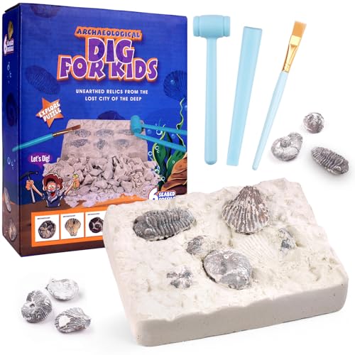 HOTUT Ausgrabungsset für Kinder, 9 Stück Meeresleben Edelsteine Ausgraben mit 6 Tiefseeerzs und 3 Grabwerkzeuge, Geologie Spielzeug Geschenke ab 6 7 8 9 10 von HOTUT
