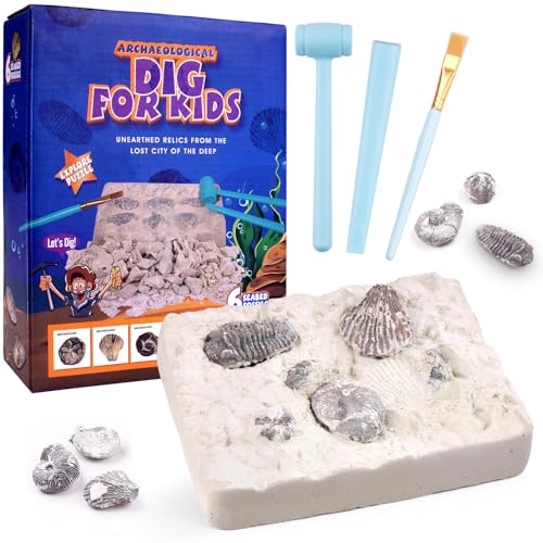 HOTUT Fossilien Ausgrabungs Set,9 Stück Mineralien Ausgrabungs Set mit 6 Tiefseeerzs und 3 Grabwerkzeuge, Ausgrabungsset für Kinder ab 6 7 8 9 10 von HOTUT